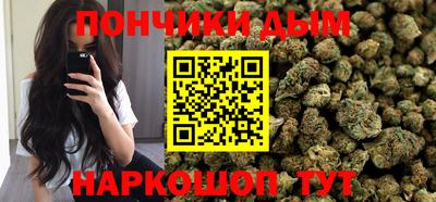 индика Кинель
