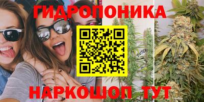 индика Кинель
