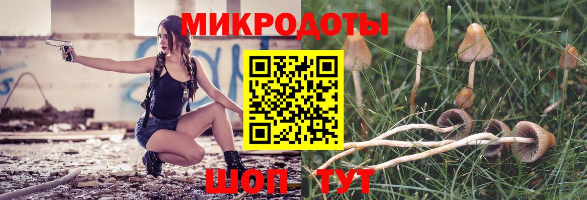 Сухой Лог  Псилоцибиновые грибы мицелий  Вход с VPN 