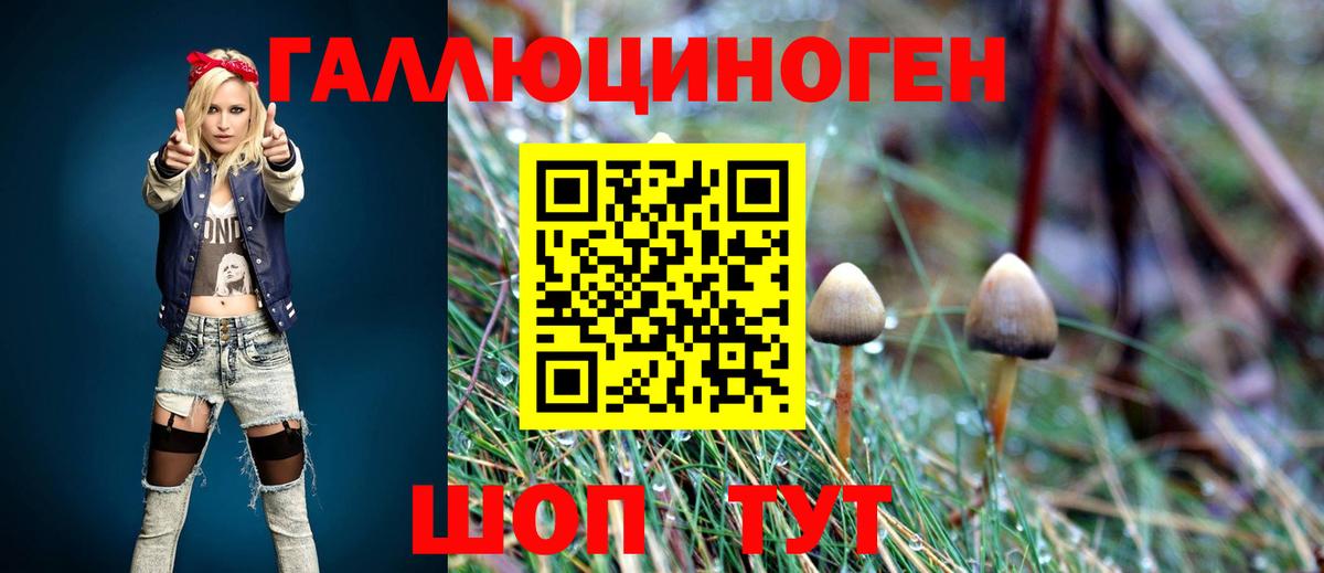 Галлюциногенные грибы мицелий Сухой Лог